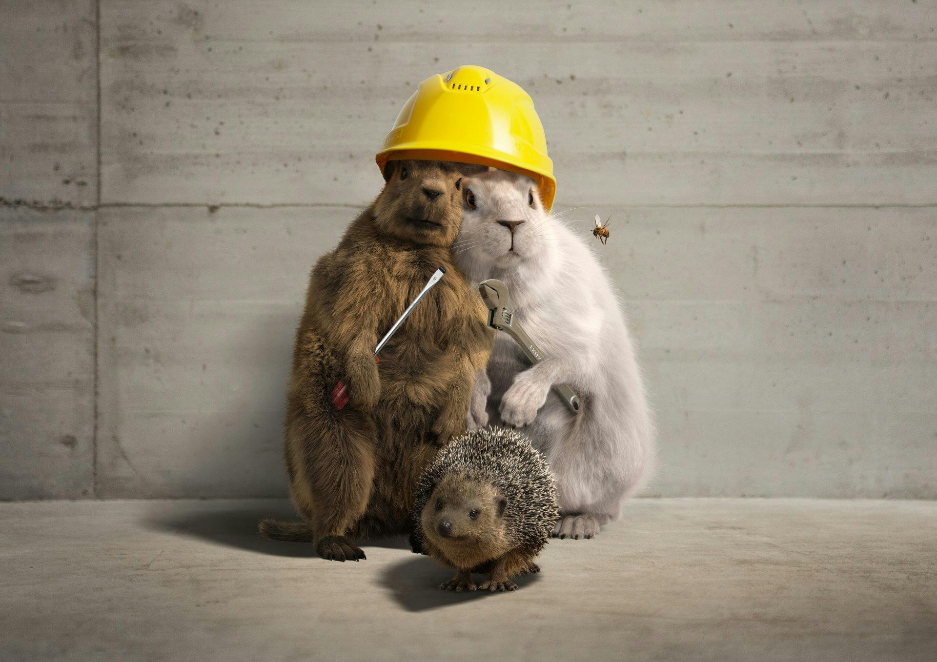 Con il programma «calore rinnovabile», SvizzeraEnergia sensibilizza i proprietari sui vantaggi dei sistemi di riscaldamento alimentati con energia rin...