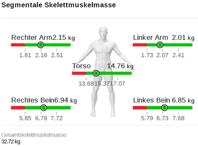 Die Analyse ist detailliert: Jedes Körpersegment kann einzeln ausgewertet werden. Die Analyse ist detailliert: Jedes Körpersegment kann einzeln ausgewertet werden.