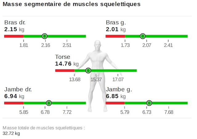 L'analyse est détaillée: chaque segment du corps peut être évalué individuellement.
