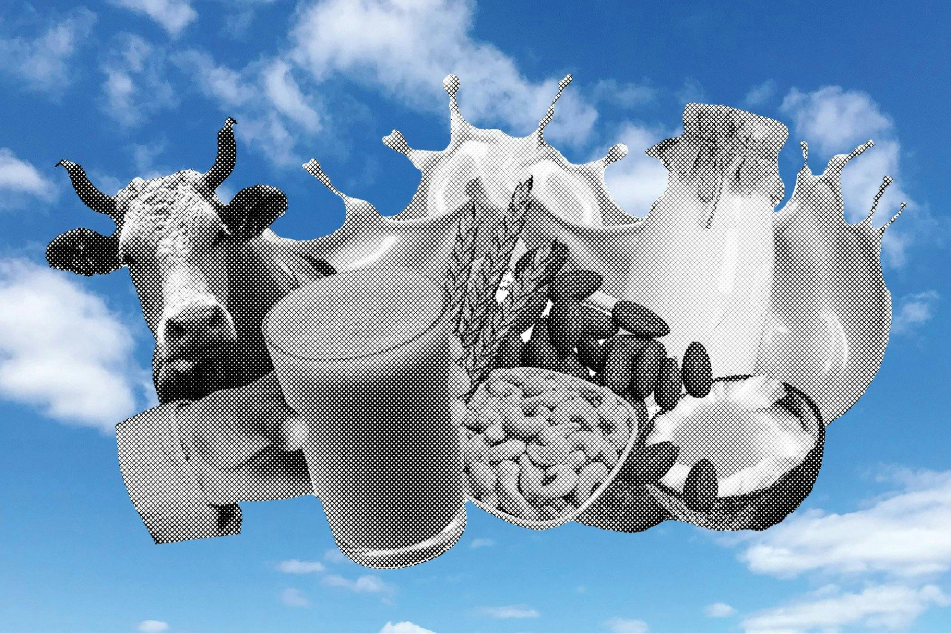 Kuhmilch vs. Pflanzendrinks: Was schneidet besser ab?