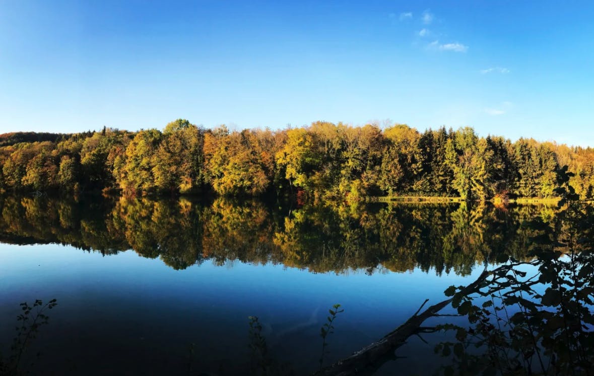 Auf der Naturtour geht es durchs Zurzibiet – mit eigener Muskelkraft oder mit der Unterstützung eines E-Bikes, welches bei Bad Zurzach Tourismus gemietet werden kann. Die abwechslungsreiche Velotour führt über höhere und sanftere Hügel und begeistert dabei mit schönen Aussichten auf den Rhein, die Aare und wildromantische Auen. Das Vogelparadies am Klingnauer Stausee und die Wälder, die in den buntesten Farben leuchten, sind weitere Highlights. Wer mag, stoppt bei einem Weingut für ein feines Glas Rot- oder Weisswein und besucht das Weinbaumuseum in Tegerfelden. Und für den perfekten Abschluss dieser 65km-langen Velotour entspannt man sich am besten im Thermalbad, lockert seine Muskeln im Thermalwasser oder gönnt sich eine Massage.