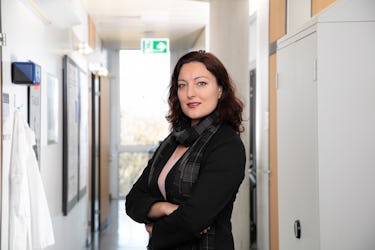 Einen Umgang mit Gewalt finden