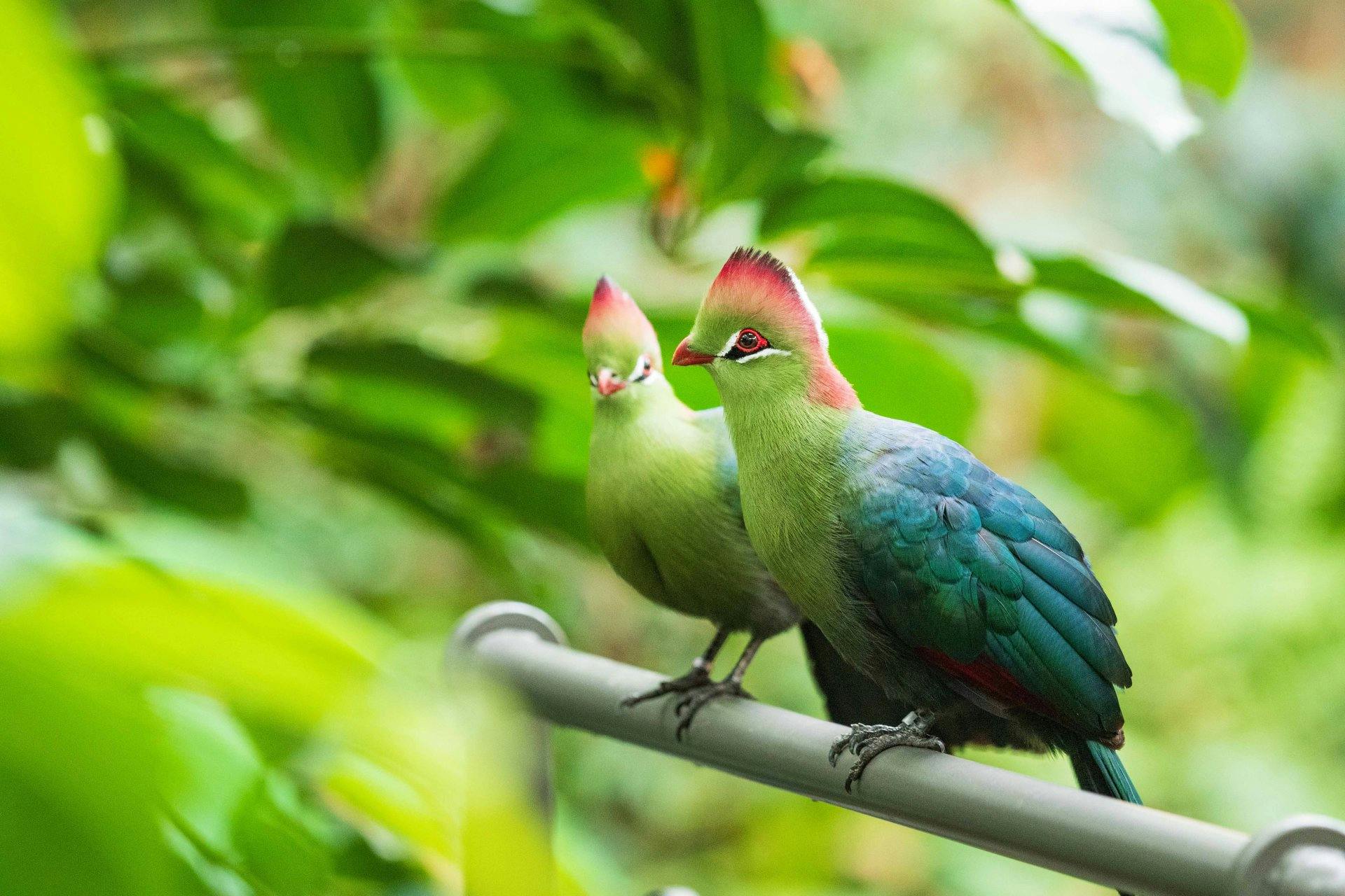 Der Zoo ist ein Begegnungsort für Menschen und Tiere.