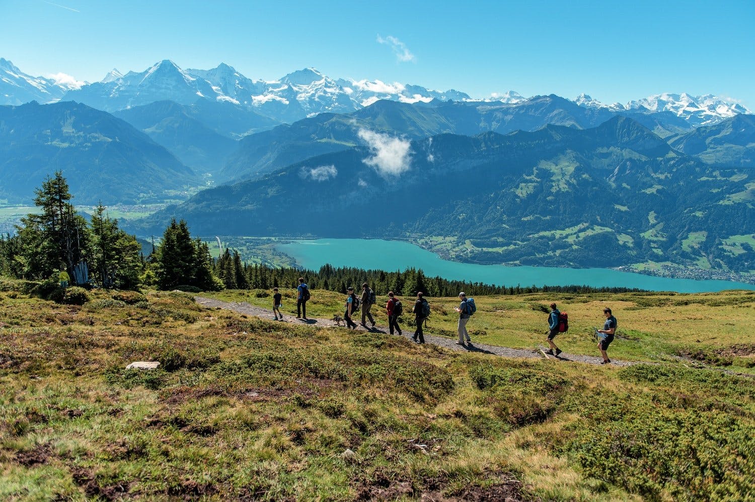 Auf dem Niederhorn erwarten dich malerische Ausblicke auf Bergwiesen, Wälder und Landschaften.