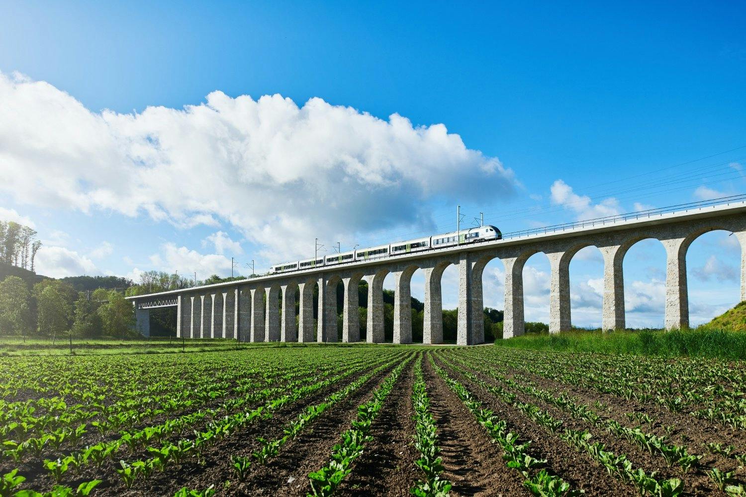 Dürrenmatt liebte es, mit dem Zug zu reisen. Deshalb machte er seinen Führerschein erst spät.