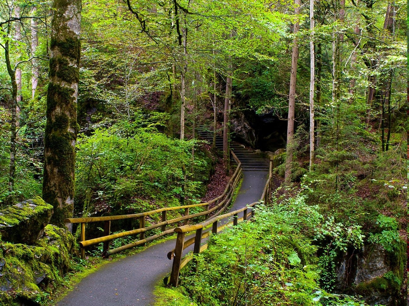 Der kleine See im Berner Oberland ist umgeben von einem bewaldeten Naturpark …