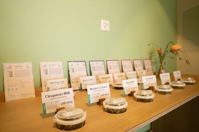 Riechgläser mit Studienprodukten: Blüten, Hash, und Edibles.