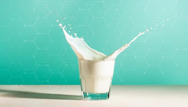 Le lait et les produits laitiers: en Suisse, difficile d'imaginer s'en passer au quotidien.