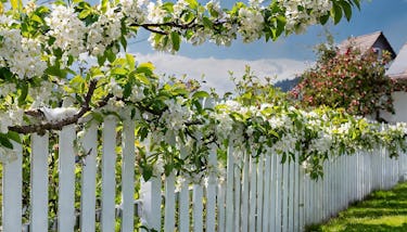 Bauen ohne Nachbarschaftsstreit