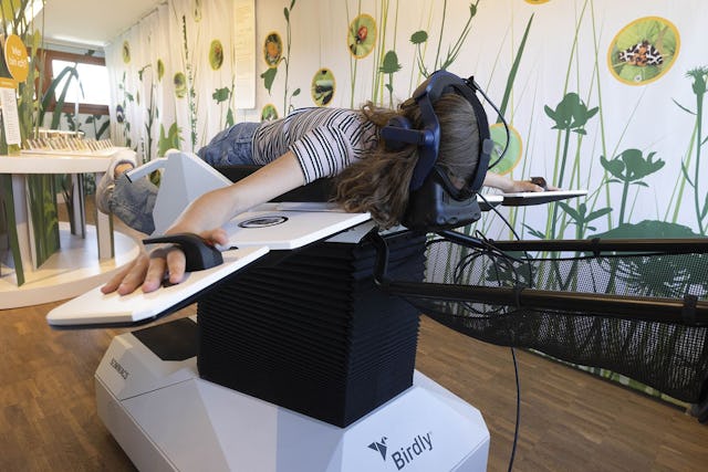 Das Birdlife-Naturzentrum La Sauge bietet Spass und Begeisterung für alle.