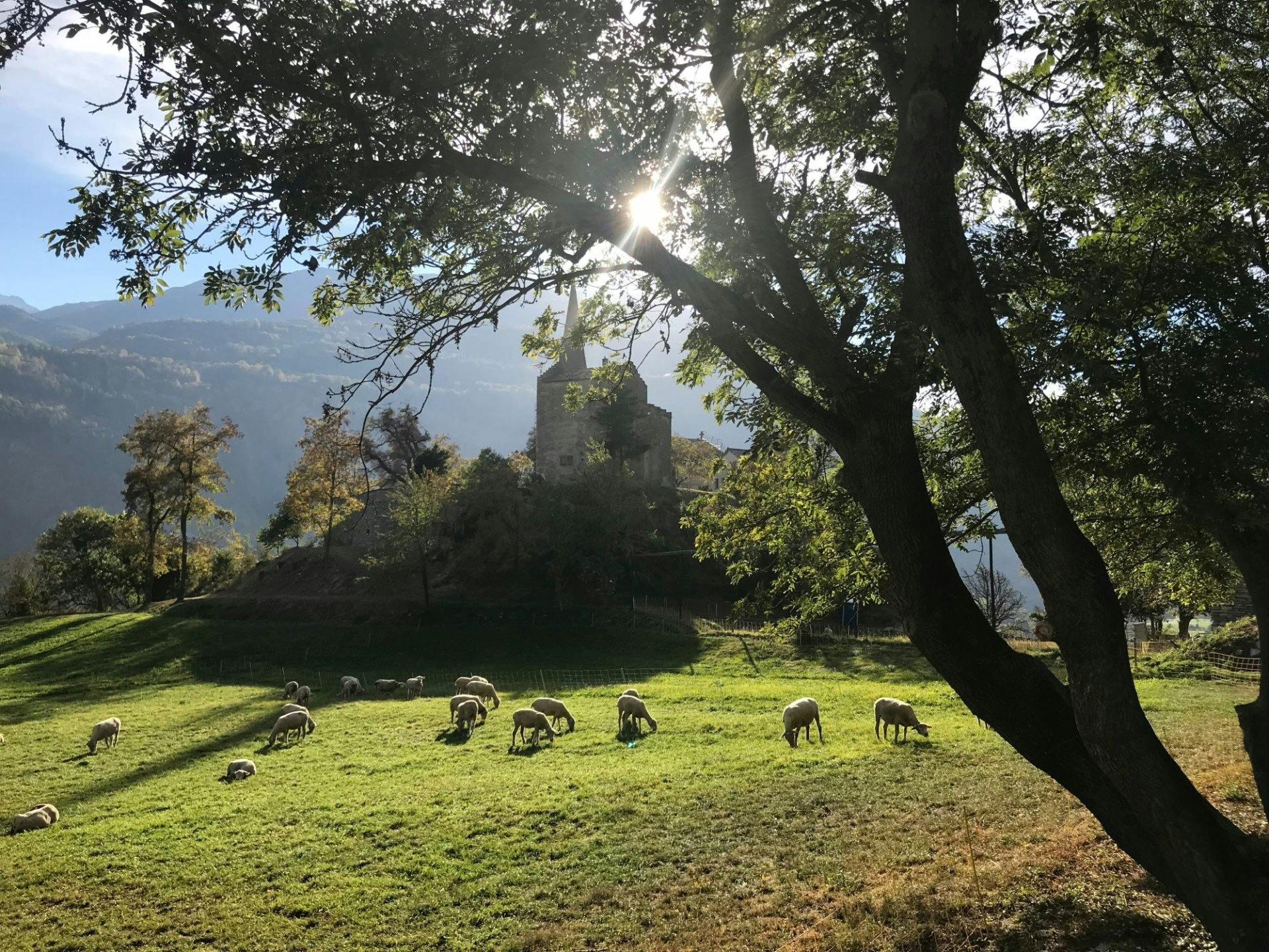 Der Kulturweg zwischen Ausserberg und Raron begeistert nicht nur Naturfreunde, sondern auch Geschichtsinteressierte.