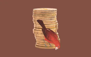 Balanceakt zwischen Ertrag und Klimaschutz