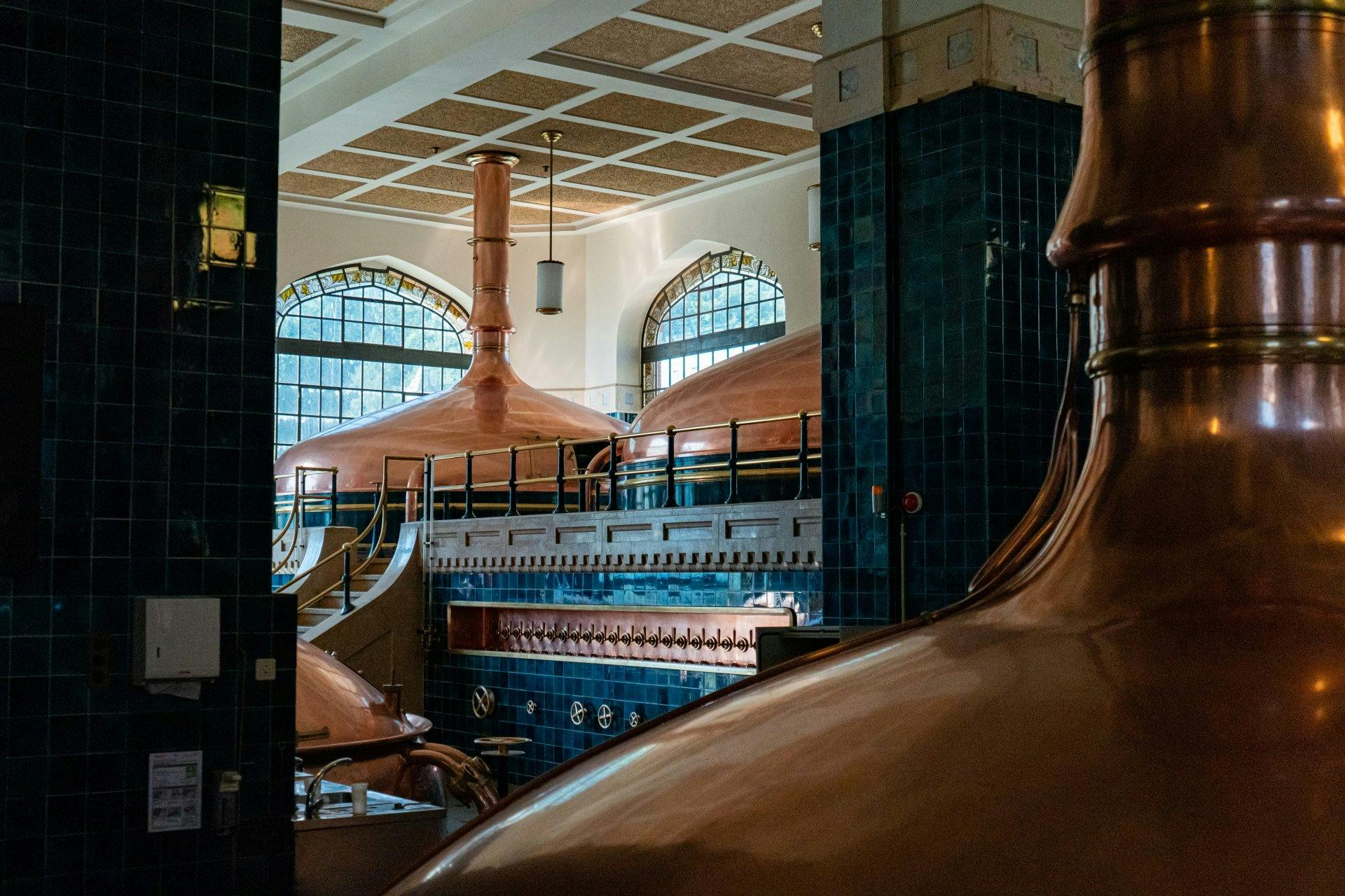 Im Sudhaus entsteht aus Gerstenmalz und Wasser die Bierwürze, die mit dem Hopfen versetzt wird.