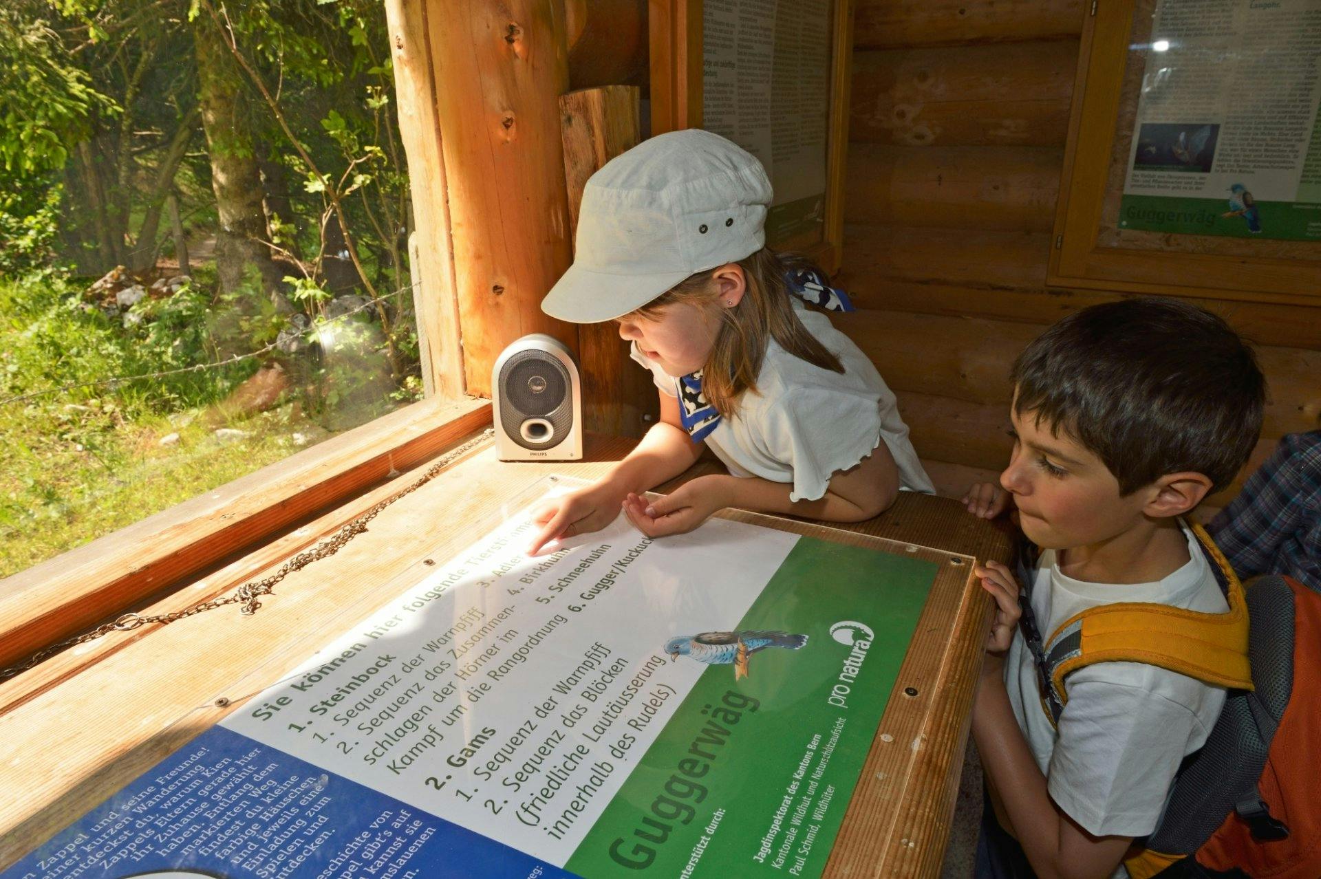 Der Rundweg führt durch Alpweiden, mystische Wälder und lädt zum Spiele ein.