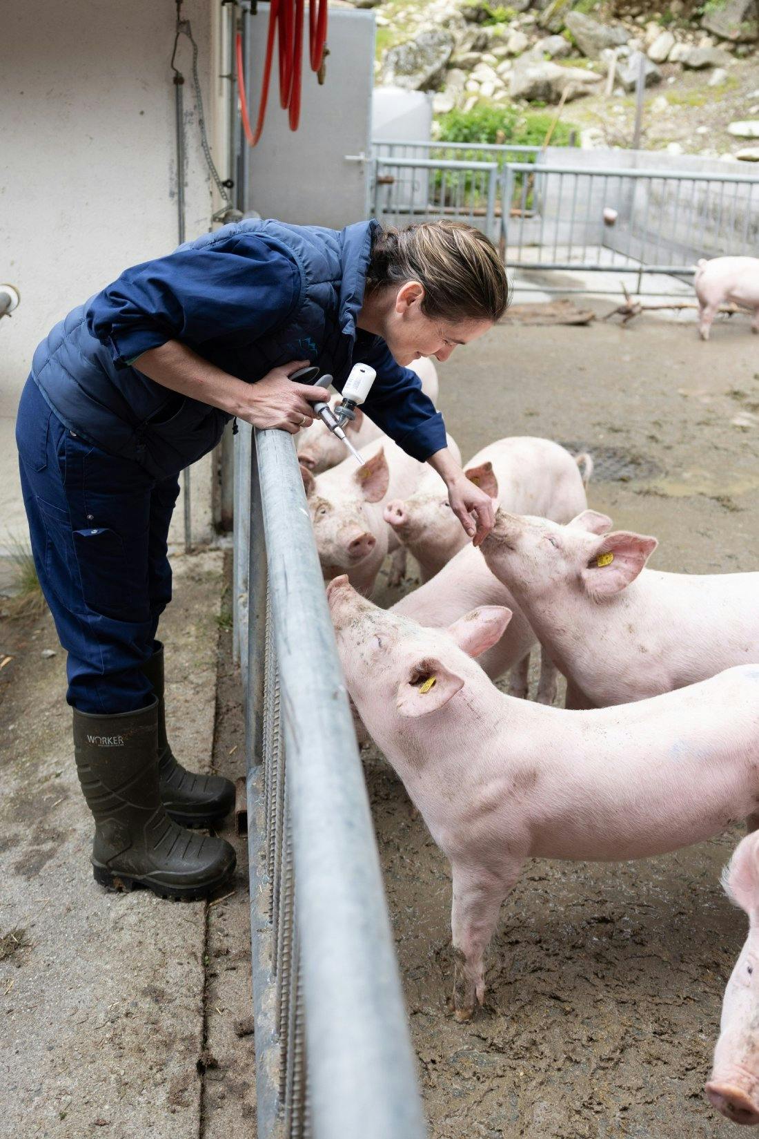 Pour la vétérinaire Hanny Ambühl, le bien-être des animaux est toujours une priorité.