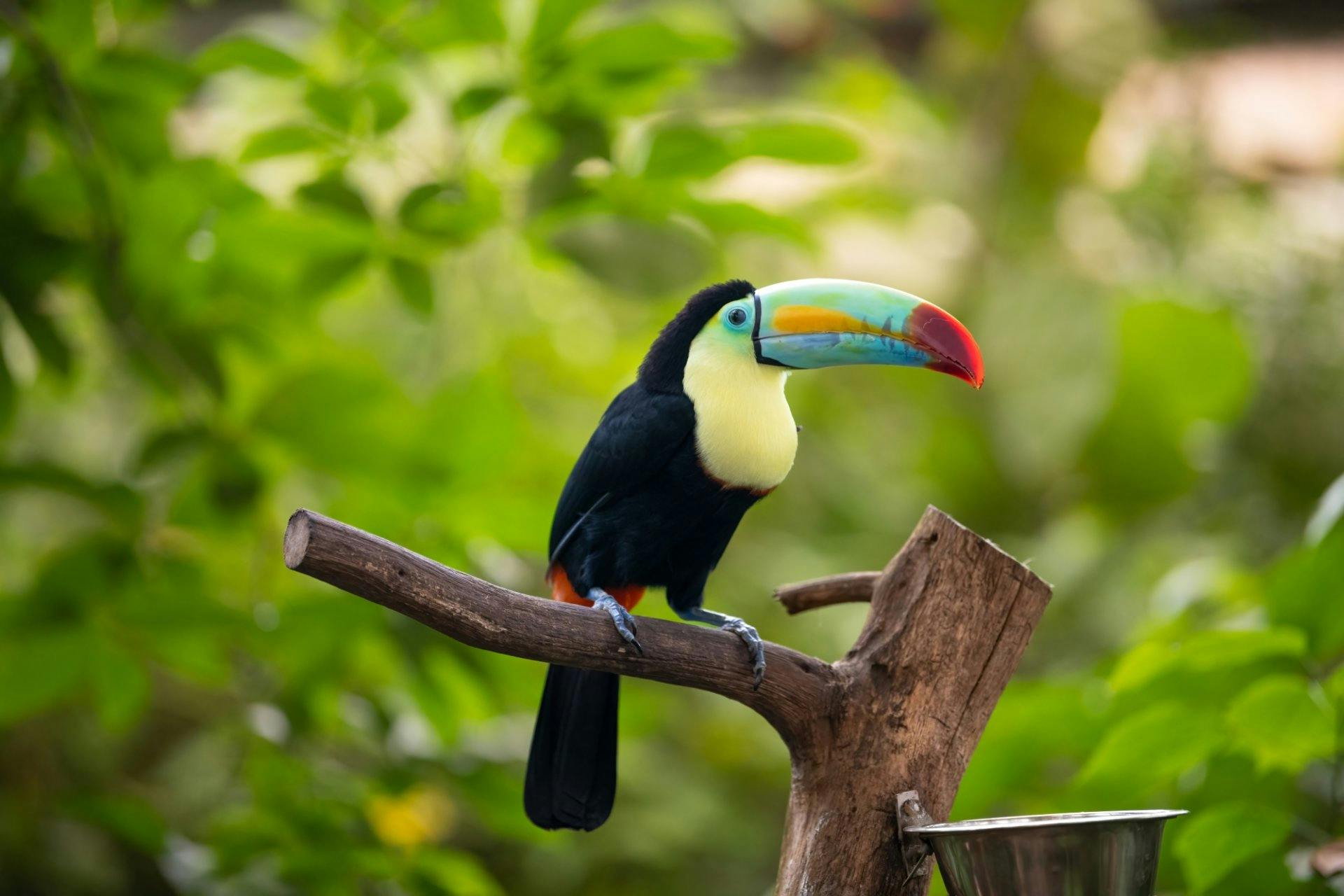 Exotische Flora und Fauna ...