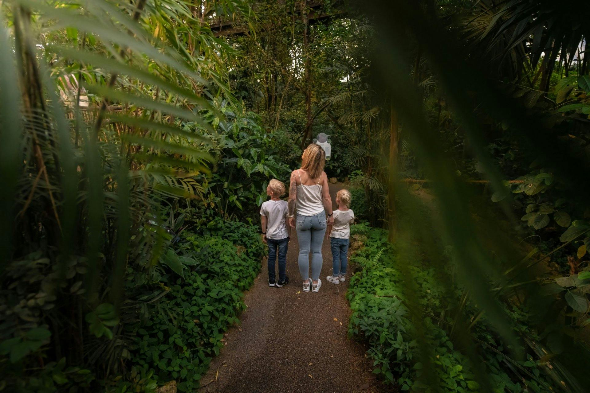 Ein unvergessliches Erlebnis für ...