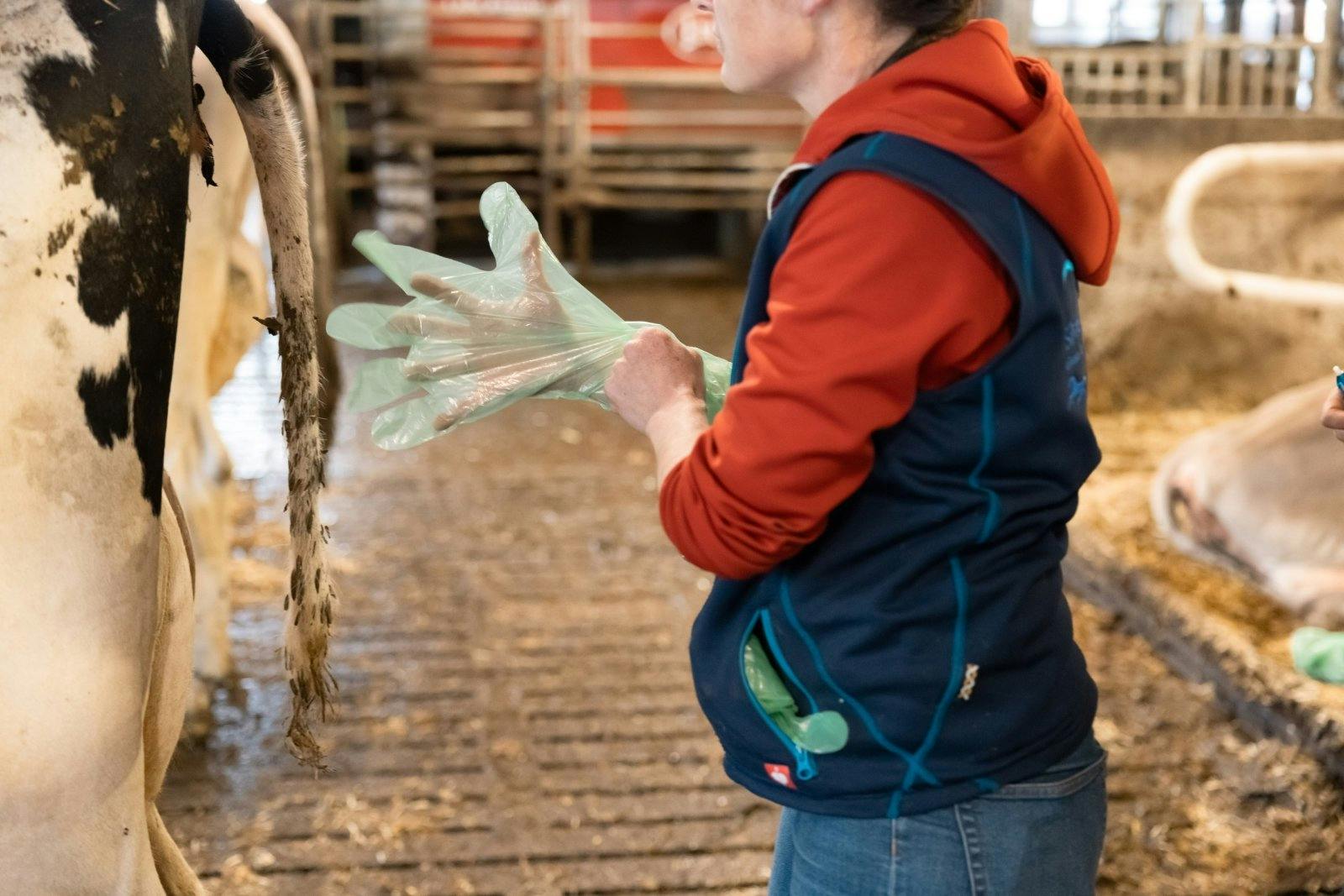 ... die Blutprobe. Sie zeigt zu hohe Entzündungswerte an. Für die Behandlung...