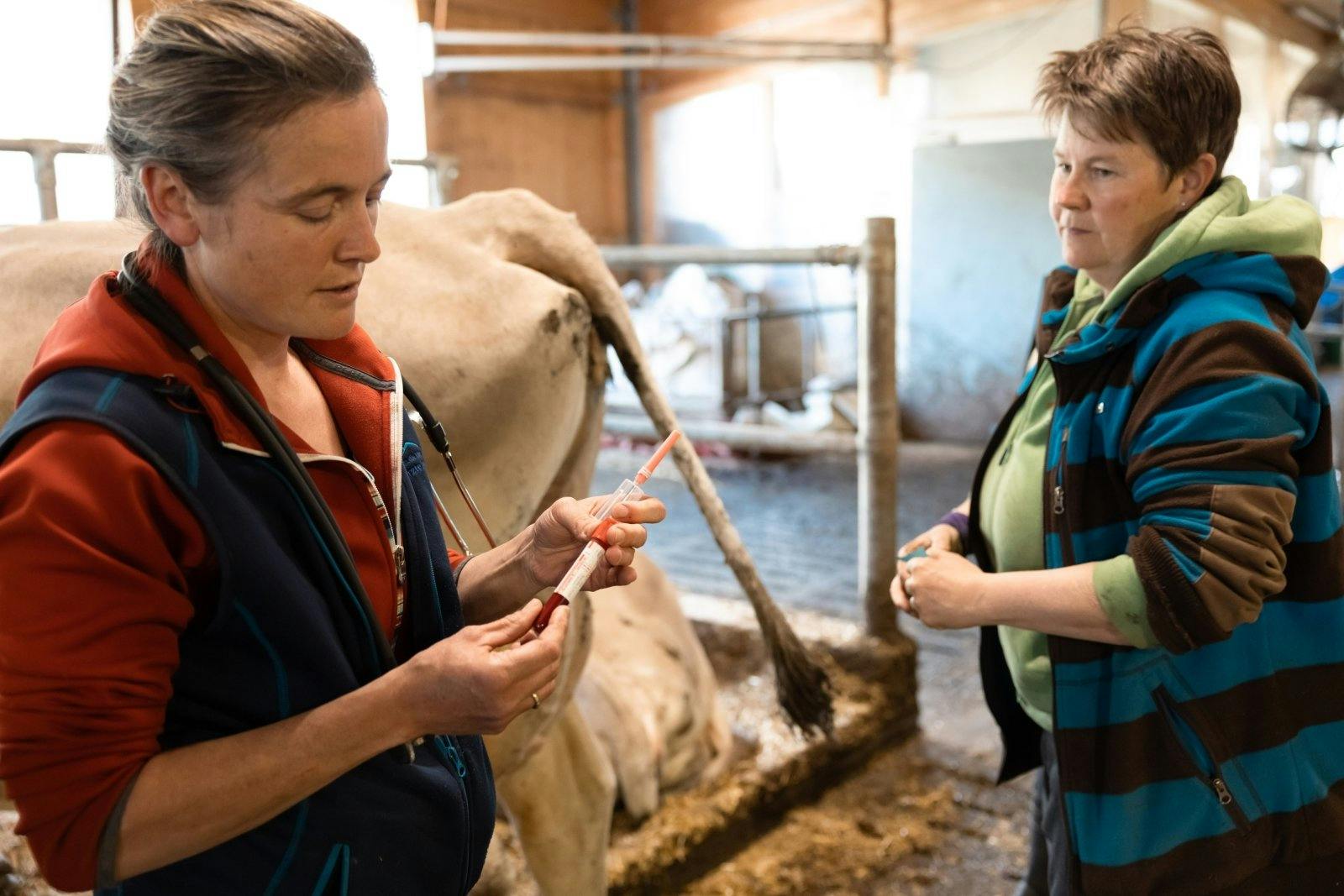... ist das Verabreichen von Antibiotika angezeigt. Die Behandlung ist streng geregelt und muss registriert werden.