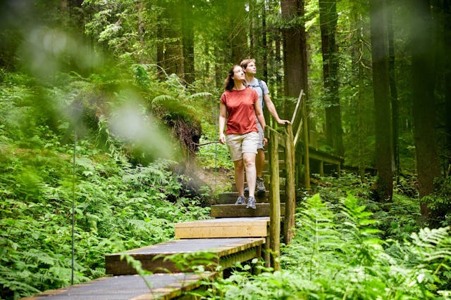 Die unberührte Natur lässt dich und deine Begleitung entspannen.