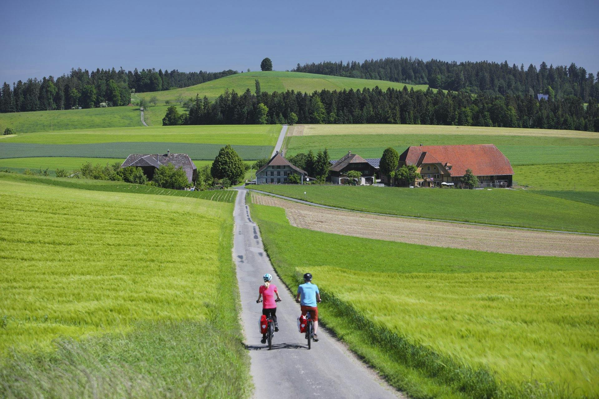 In Burgdorf eröffnet dir eine Herzschlaufe tiefe Einblicke in die Natur.