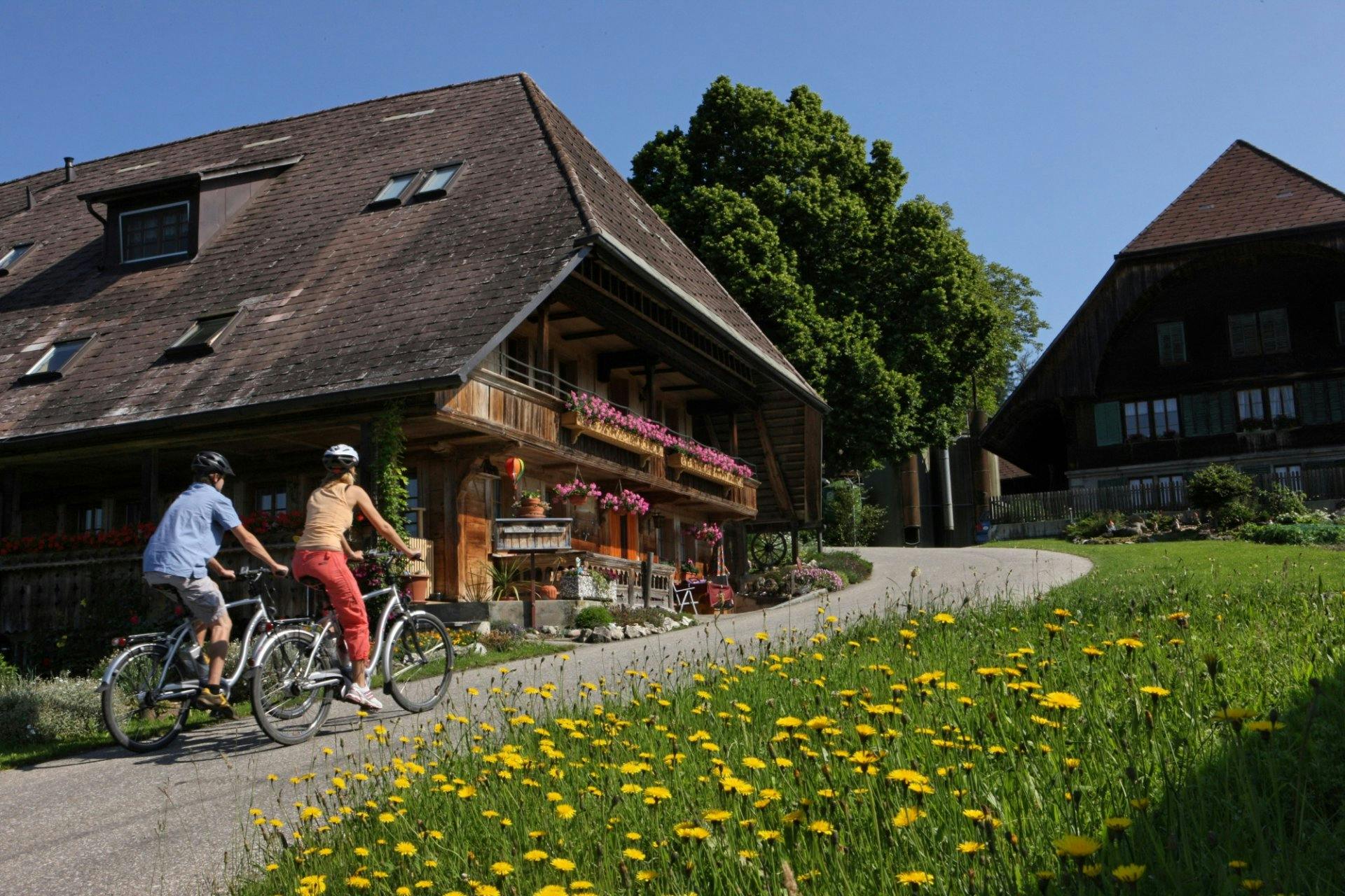 Für deine E-Bike-Tour wählst du aus vier verschiedenen Routen, darunter auch die Herzroute.