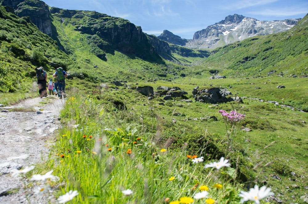 Credit: © Mettmenalp