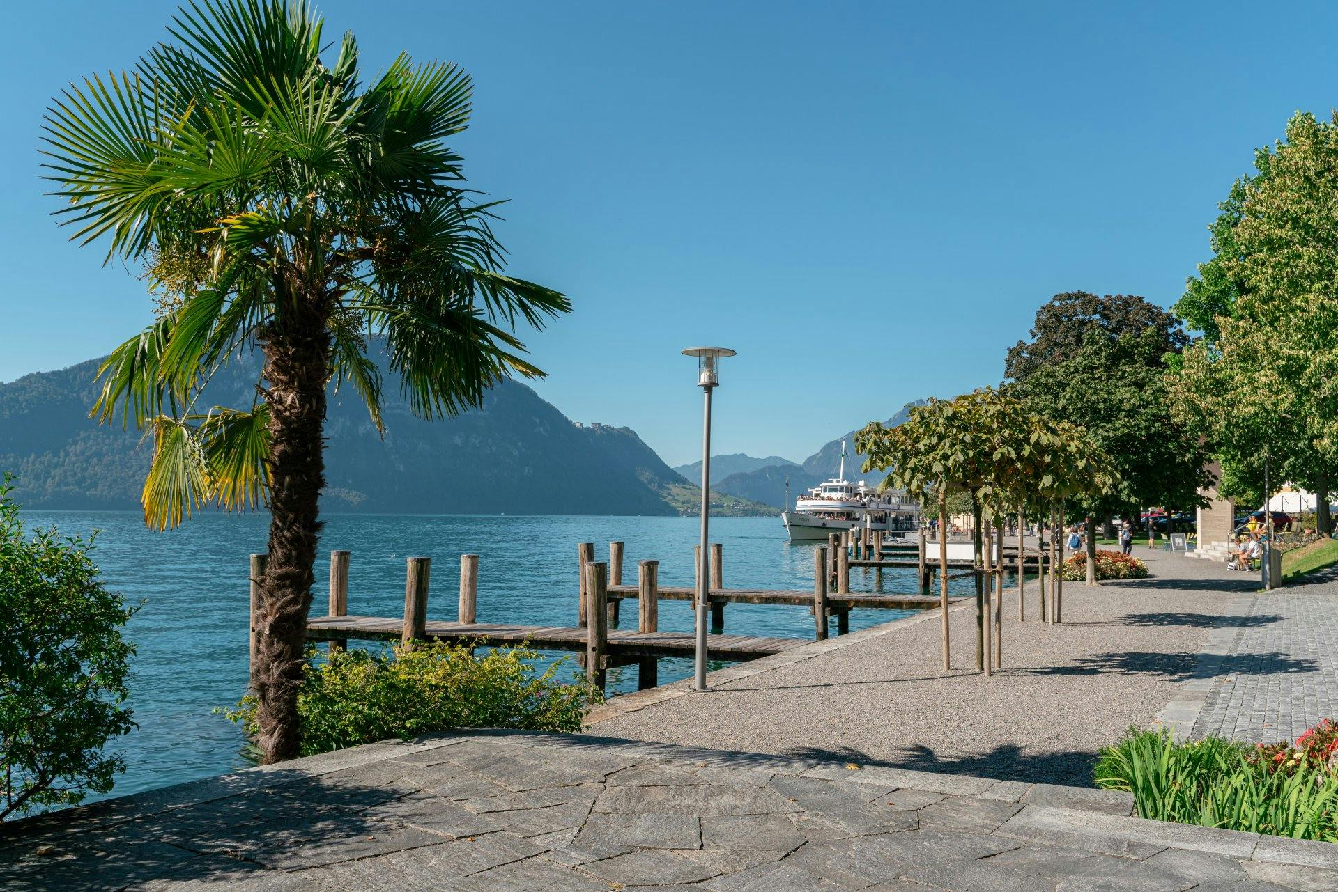 Une végétation méditerranéenne orne le rivage de Weggis.