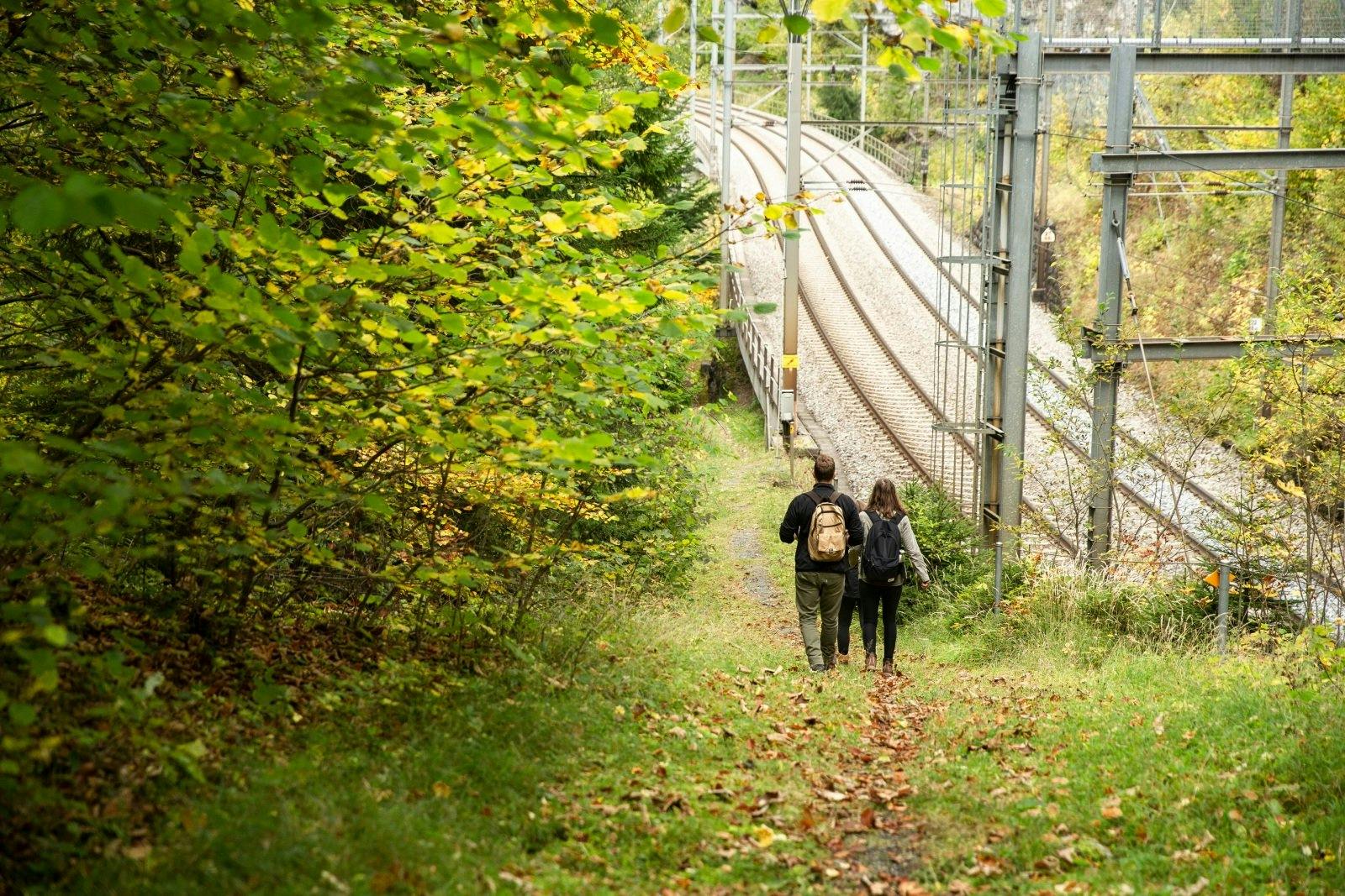 Geniesse das Kandertal auf einer Wanderung entlang der Gleise.