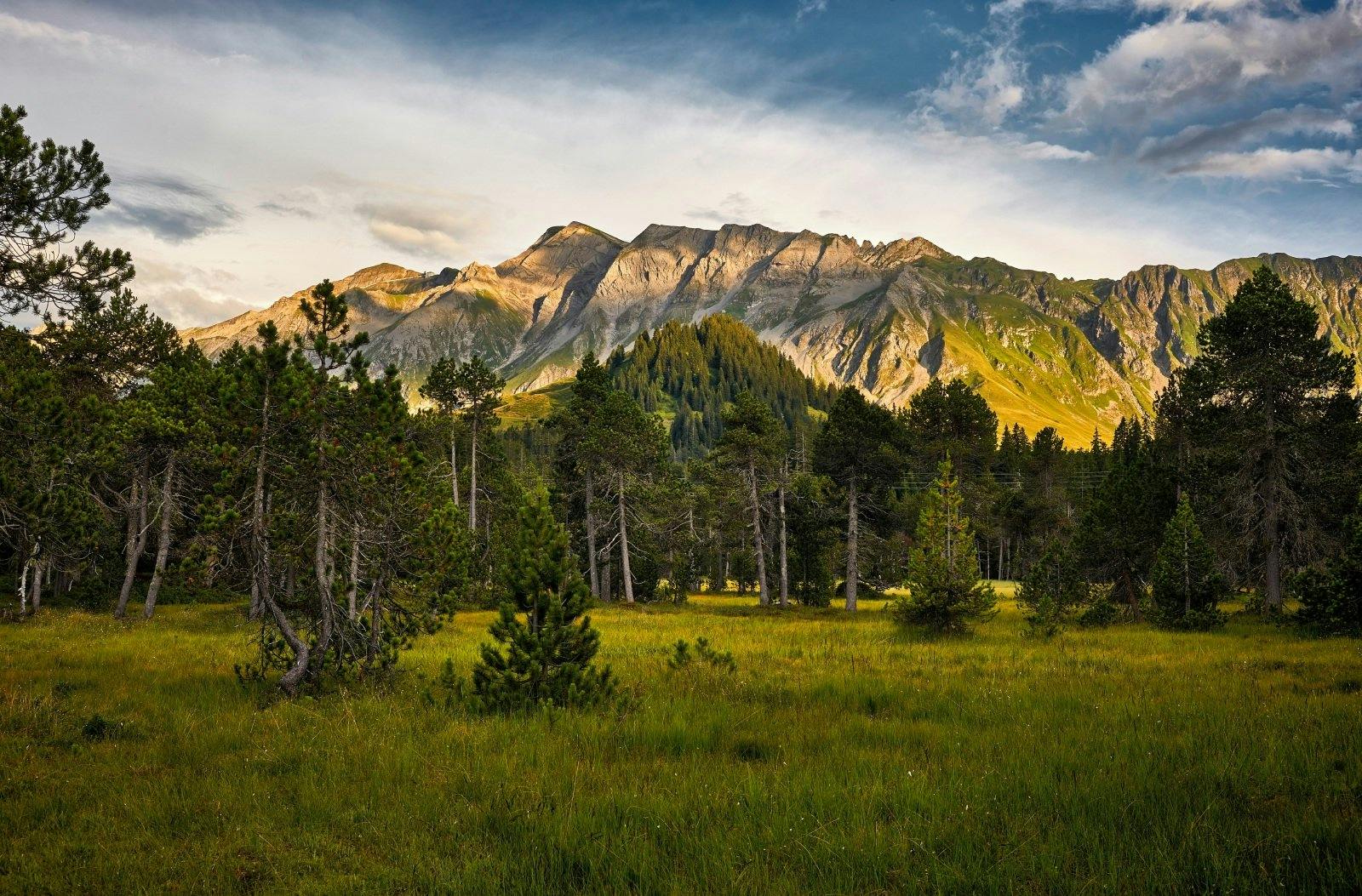 Hier findest du faszinierende Moorlandschaften, schroffe Karrenfelder und wilde Bergbäche.