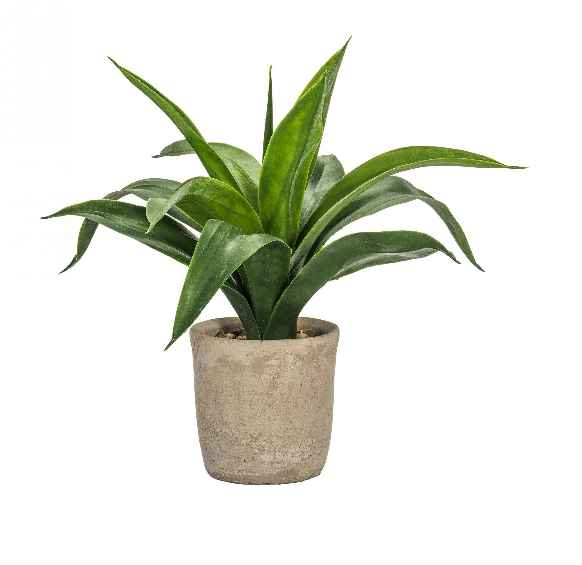 Immer üppig: Kunstblume Urban, Fr. 34.95, bei livique.ch.