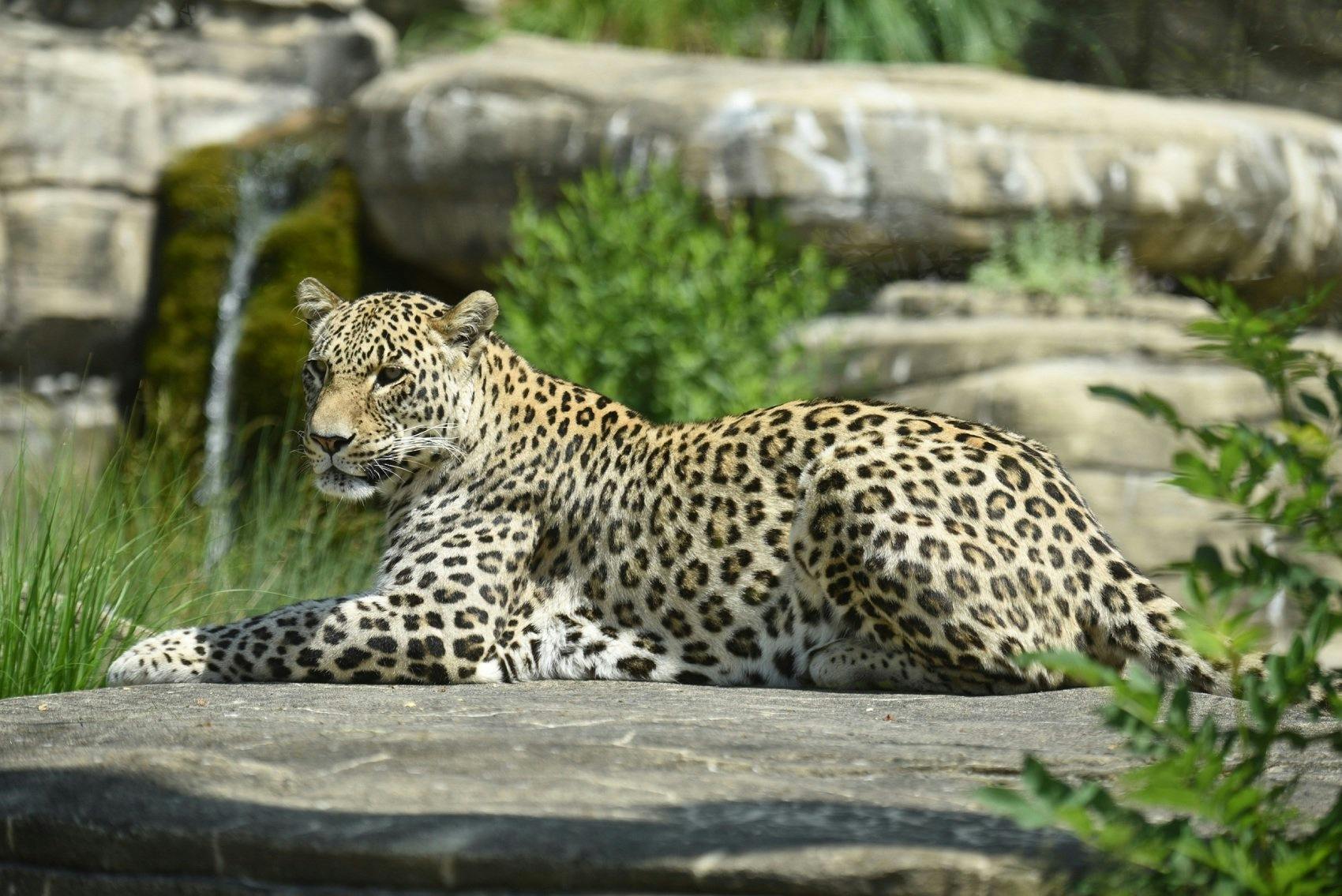 Entdecke im Tierpark Bern rund 200 verschiedene Tierarten.