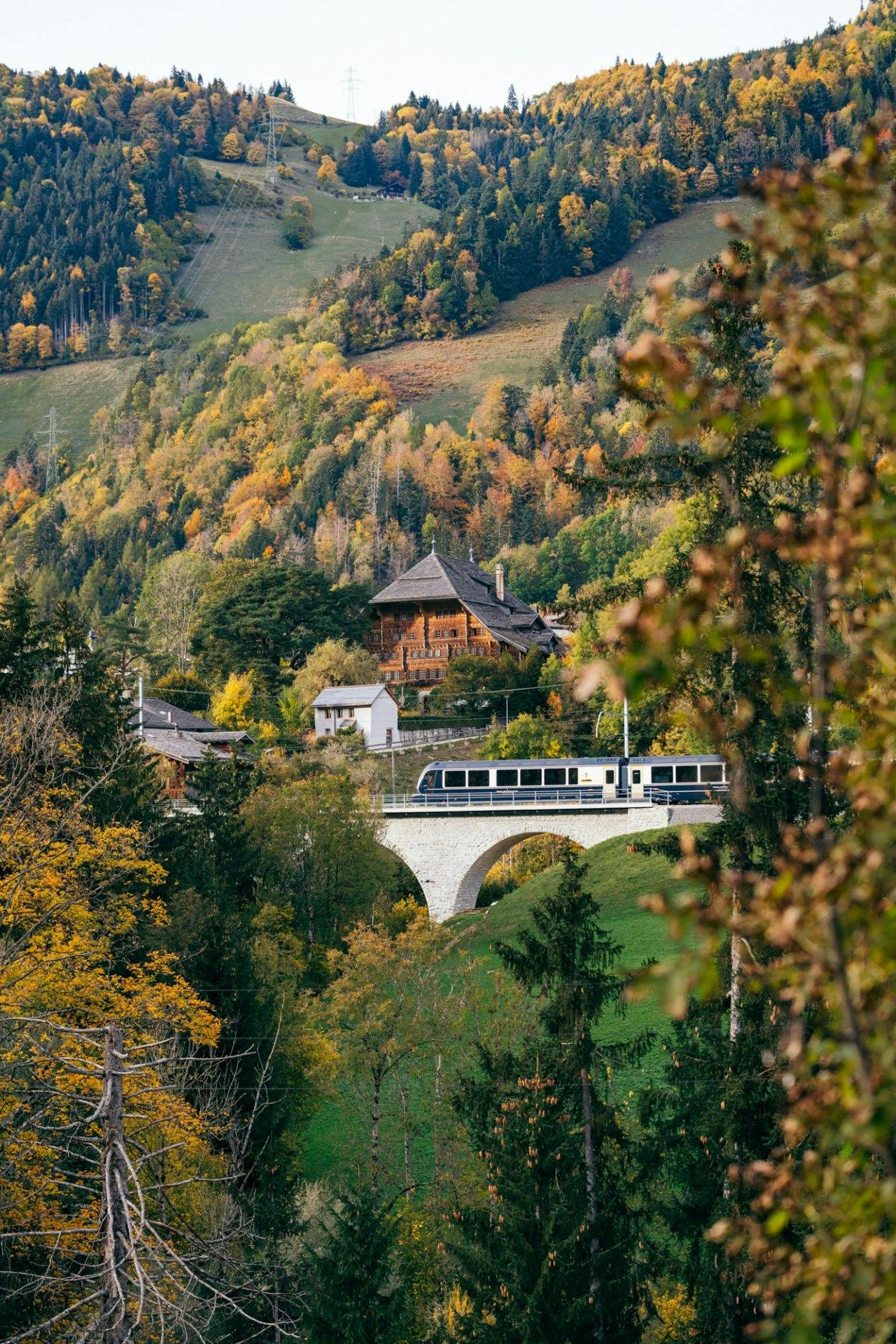 Le GoldenPass Express traverse ponts et viaducs et passe devant de grands chalets pittoresques.