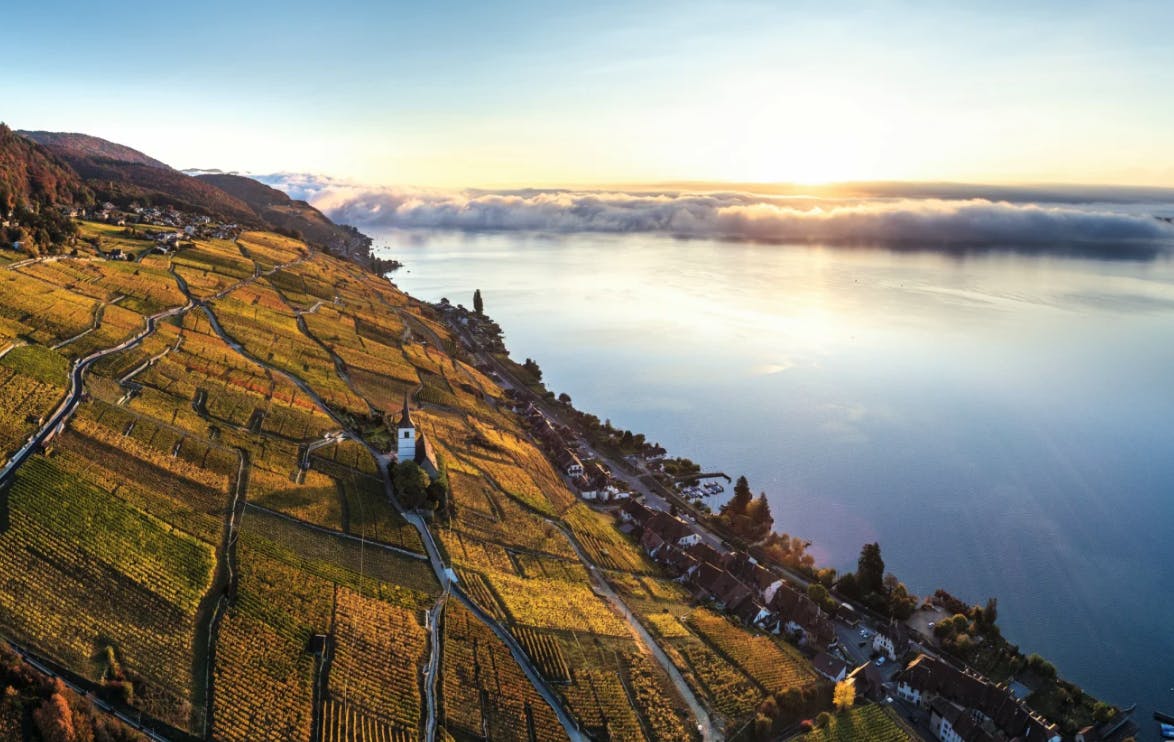 Im Herbst strahlen am Nordufer des Bielersees die Weinberge in den schönsten Gelbtönen. Diesen Herbstgenuss erlebt man am besten aus nächster Nähe zu Fuss, mit dem Fahrrad, oder von weiter weg auf einer Schifffahrt. Bei dieser Gelegenheit sollte man einen Abstecher auf die St. Peterinsel machen, das autofreie Naturparadies im Bielersee.
Der Herbst ist auch die Zeit, in der die Winzer die Früchte ihrer Arbeit ernten und verarbeiten. Um das gebürtig zu feiern, laden sie in den malerischen Dörfern zum Winzerfest ein, an denen man die einheimischen Tropfen in geselliger Runde degustieren kann.