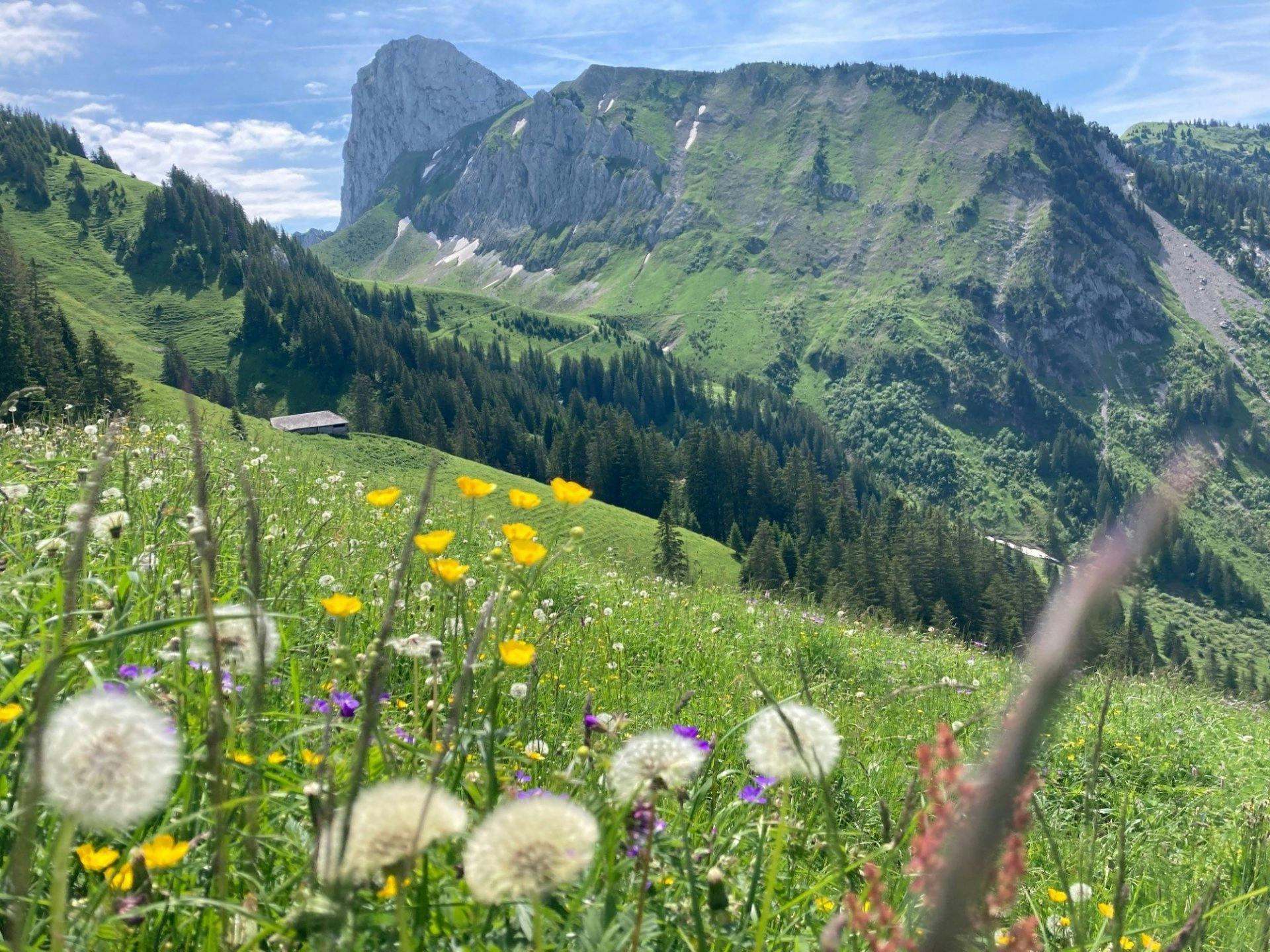 Von malerischen Alpwiesen bis hin zu schroffen Felsformationen – der Weg zum Stockhorn ist ein Muss für Naturbegeisterte.