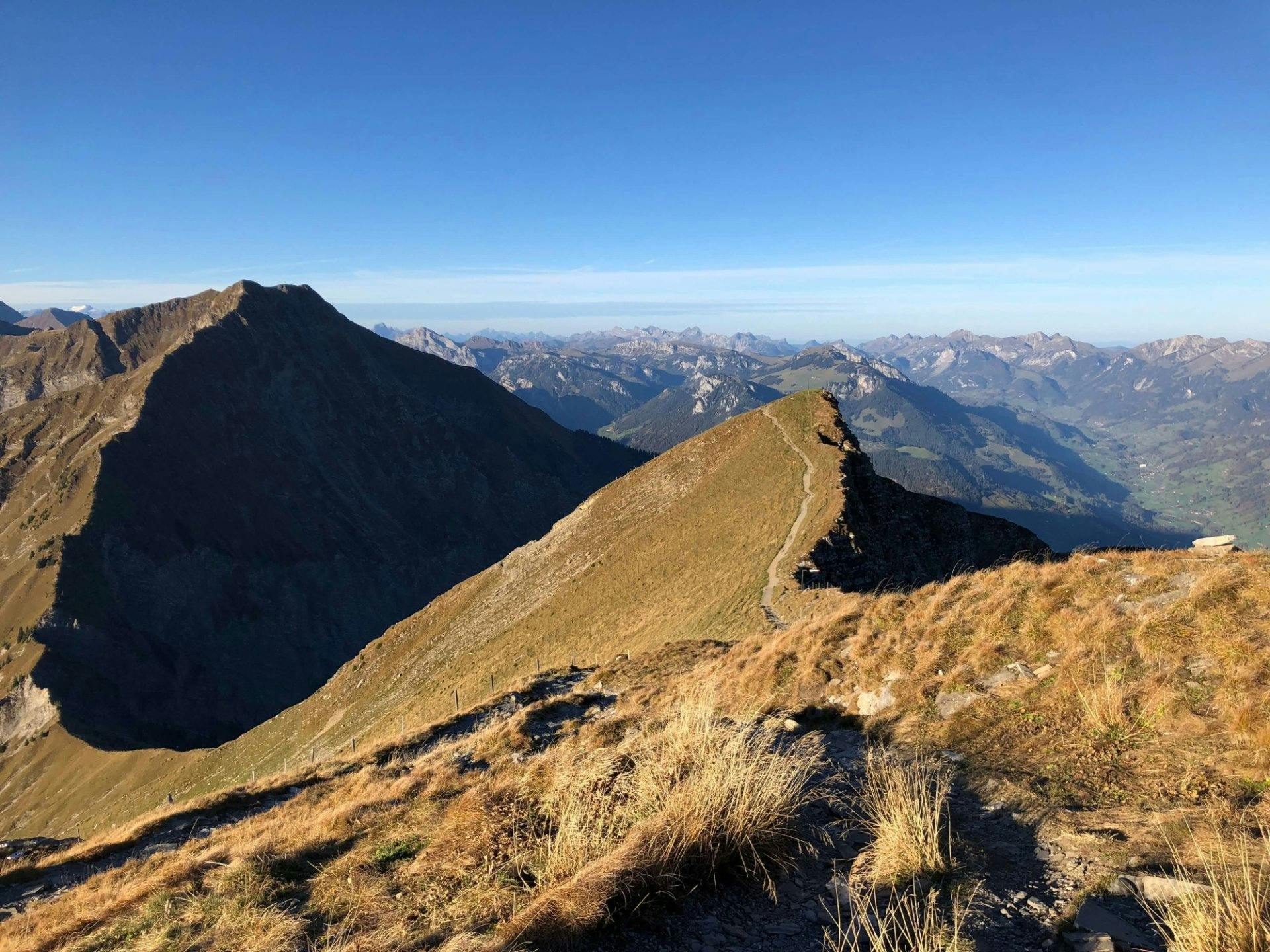 Verpass deine Chance nicht und hol dir ein limitiertes Spezialticket!