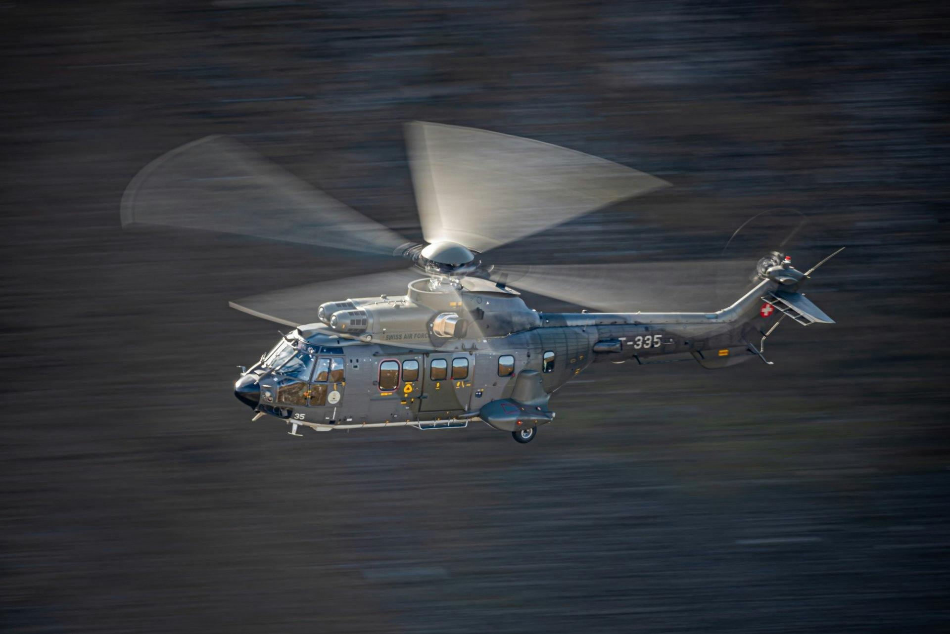 Cougar, die Raubkatze der Lüfte.