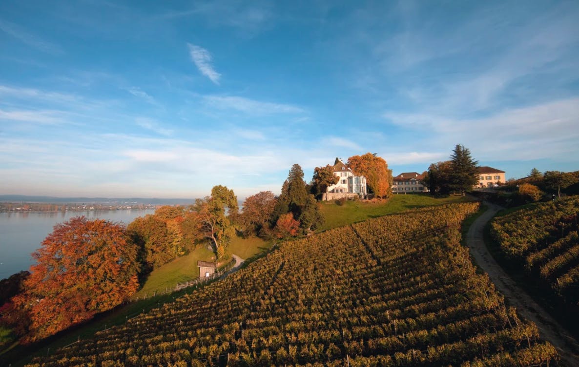 Hoch über dem Bodensee thront das Schloss Arenenberg. Wer hier den Blick in die Ferne schweifen lässt, ist begeistert – die Aussicht ist grandios. Das schätzte schon Napoléon III, der seine Kindheit hier verbrachte.

Heute zählt das Napoleonmuseum mit seinem weitläufigen Landschaftspark und beeindruckenden Ausblick zu den schönsten Schlössern am Bodensee. Der Besuch der Gartenwelt ermöglicht eine Reise durch die Gartentrends der letzten 600 Jahre. Vom See & Parkhotel Feldbach in Steckborn ist der Arenenberg über die Etappe 19 des Thurgauer Rundwanderwegs zu Fuss in 2 Stunden gut zu erreichen.
Viele Wege führen auf den Höhenzug zwischen Bodensee und Appenzellerland mit einmaligem Blick auf den Bodensee und die fünf «Länder» Österreich, Schweiz, Bayern und Baden-Württemberg. Eine Baumpartie mit Sitzbänken und Feuerstellen lädt zum Sitzen und Staunen ein. Ein perfekter Ort für ein Outdoor-Fondue!