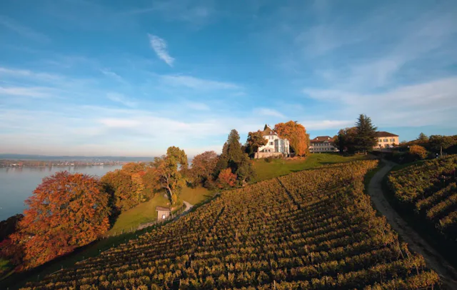 Hoch über dem Bodensee thront das Schloss Arenenberg. Wer hier den Blick in die Ferne schweifen lässt, ist begeistert – die Aussicht ist grandios. Das schätzte schon Napoléon III, der seine Kindheit hier verbrachte.

Heute zählt das Napoleonmuseum mit seinem weitläufigen Landschaftspark und beeindruckenden Ausblick zu den schönsten Schlössern am Bodensee. Der Besuch der Gartenwelt ermöglicht eine Reise durch die Gartentrends der letzten 600 Jahre. Vom See & Parkhotel Feldbach in Steckborn ist der Arenenberg über die Etappe 19 des Thurgauer Rundwanderwegs zu Fuss in 2 Stunden gut zu erreichen.
Viele Wege führen auf den Höhenzug zwischen Bodensee und Appenzellerland mit einmaligem Blick auf den Bodensee und die fünf «Länder» Österreich, Schweiz, Bayern und Baden-Württemberg. Eine Baumpartie mit Sitzbänken und Feuerstellen lädt zum Sitzen und Staunen ein. Ein perfekter Ort für ein Outdoor-Fondue!
