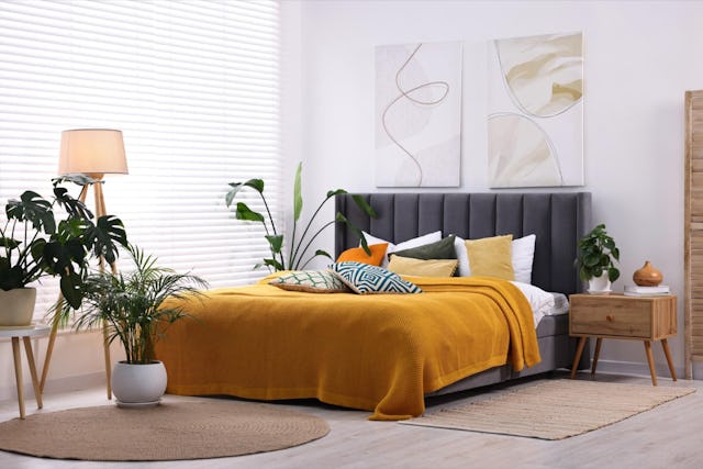 Moderner Look: Ein Wasserbett ist von einem konventionellen Bett kaum zu unterscheiden.