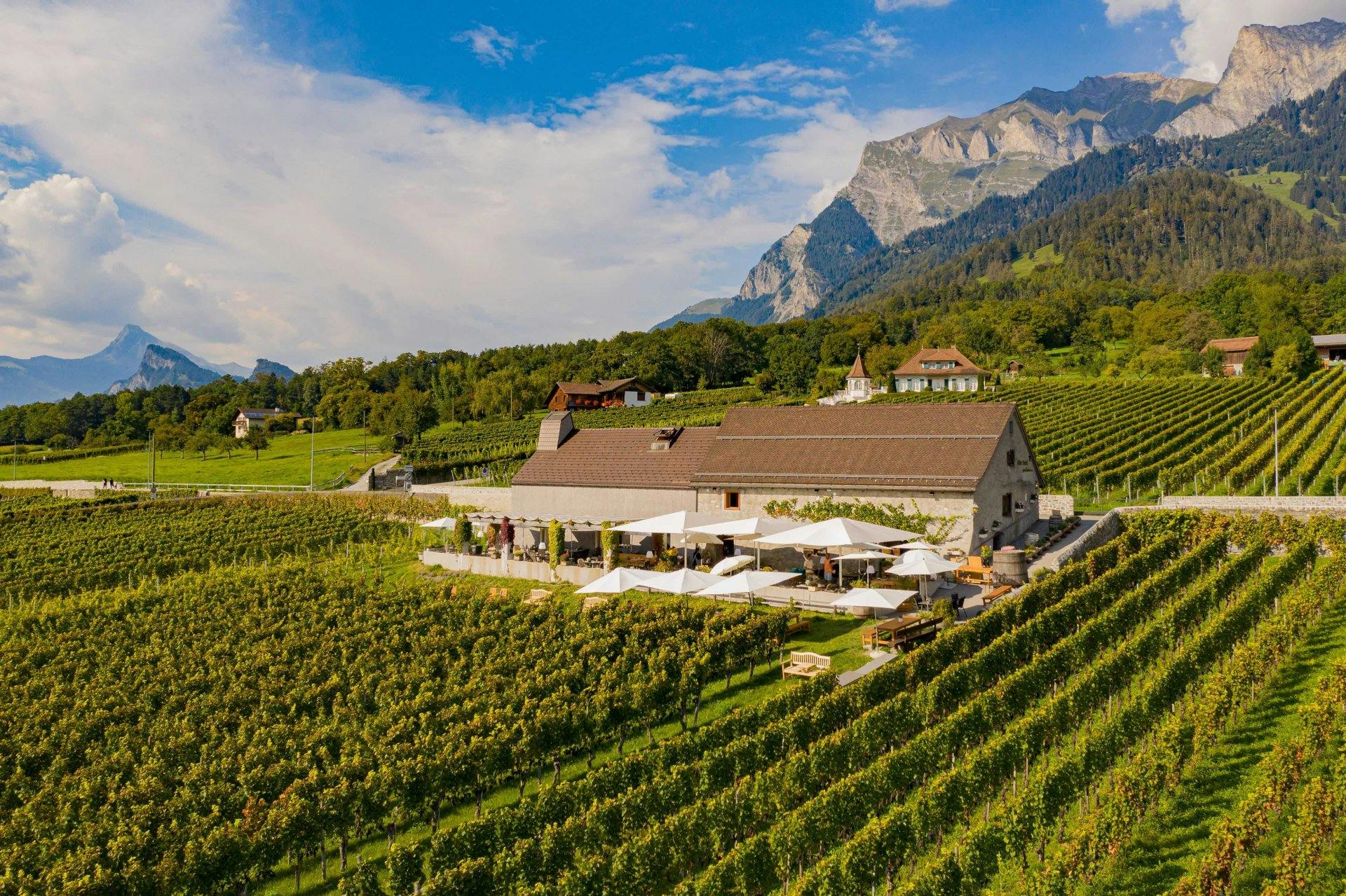 Ein herrliches Fleckchen Erde: Das Restaurant Alter Torkel liegt mitten in den Rebgärten von Jenins.