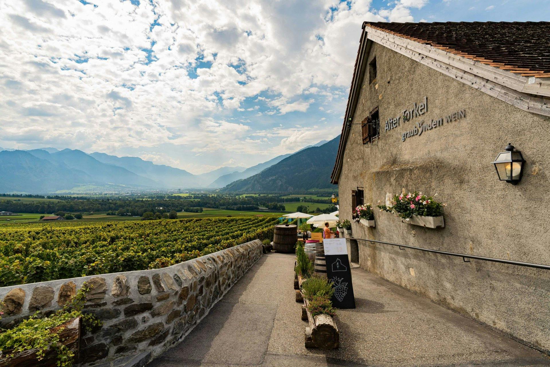 Nirgendwo gibt es eine so grandiose Auswahl an Bündner Weinen wie im Alten Torkel in Jenins.