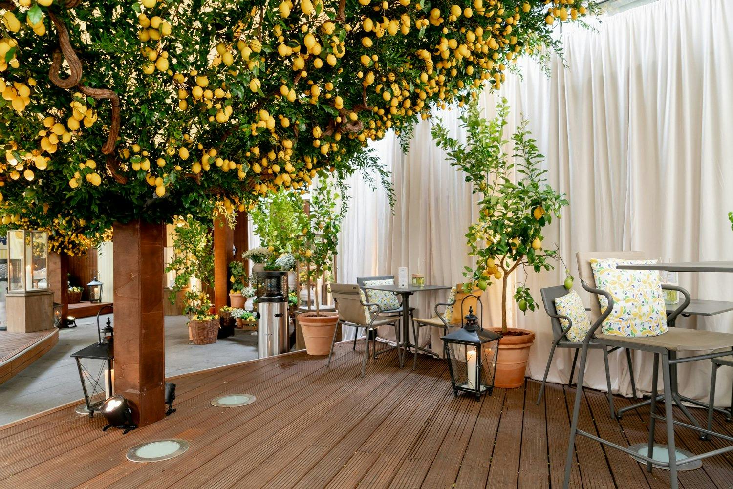 Le lieu a été décoré avec une grande attention portée aux détails. Les composants principaux: le basilic et le citron.