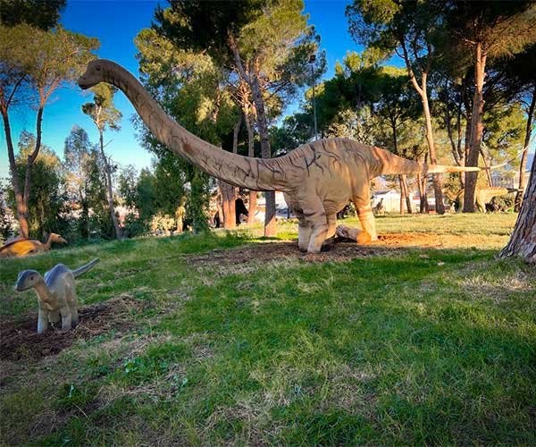 Lebensgrosser Diplodocus – ein Highlight der «Magie der Dinosaurier».