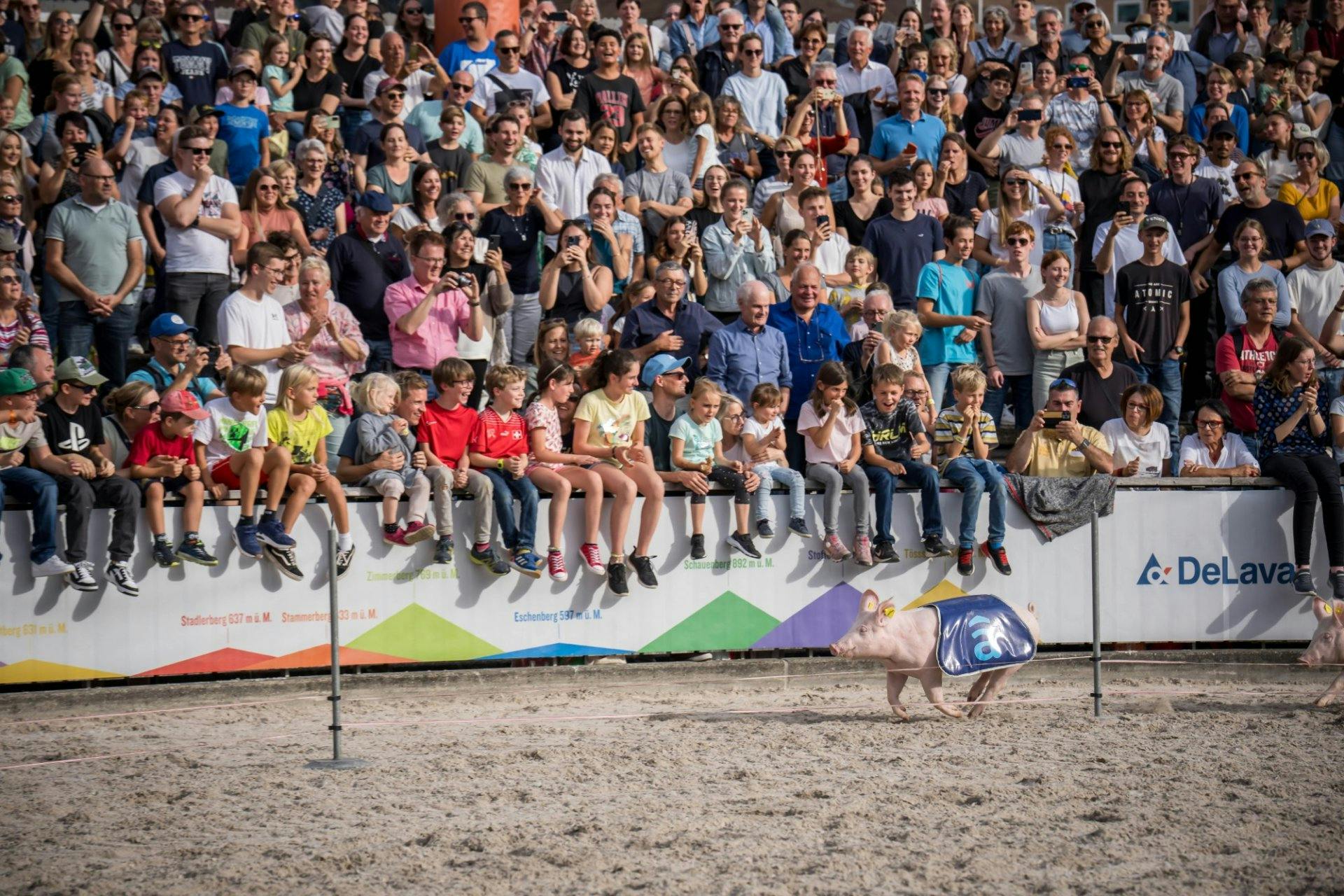 Das Publikum fiebert mit: Das Säulirennen ist eine Tradition, die Action und Spass mit sich bringt.