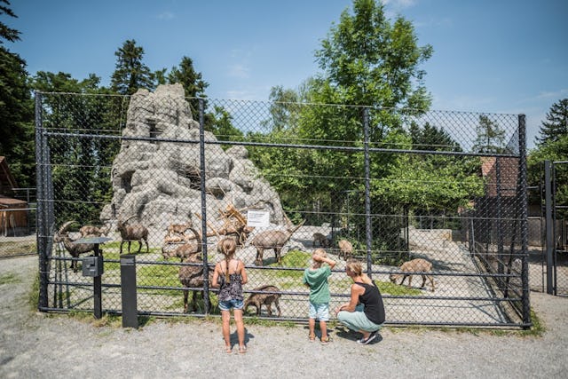 Peter & Paul. Peter & Paul.