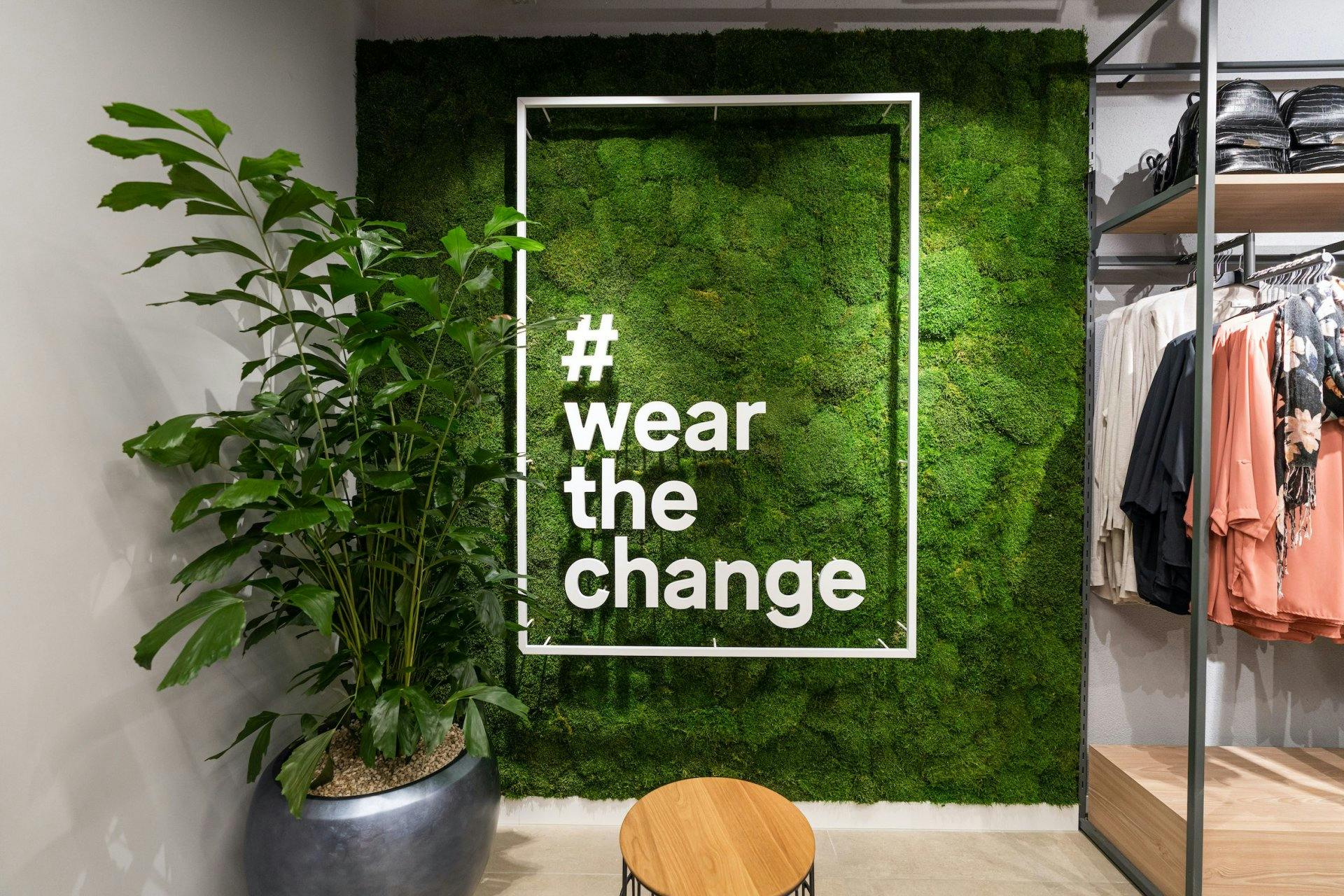 Neu begrünen auch Pflanzen und Mooswände die Ladenfläche.