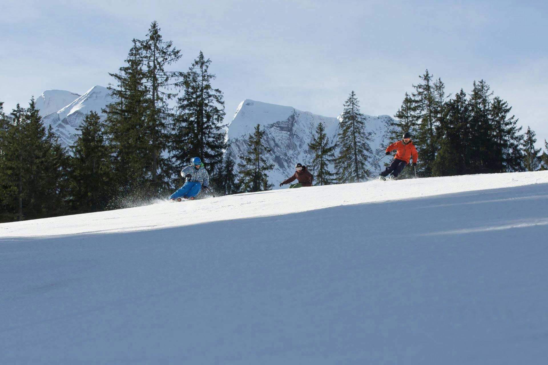 Soerenberg Schneesportgebiet.