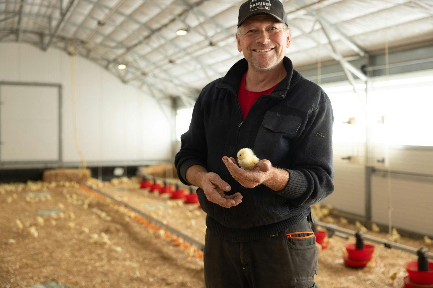 Des dizaines de milliers de followers ne veulent pas manquer le moment où Röbi, le père de Patrick, montre les poussins, en pleine forme, qui sont arr...