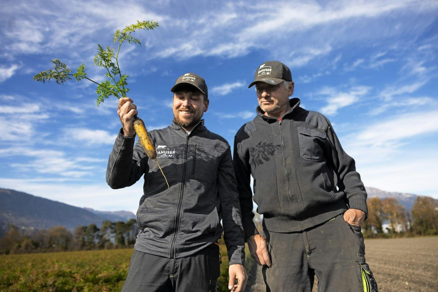 Des carottes Jaune du Palatinat pour la gastronomie: la culture des champs est un pilier important pour les Danuser.